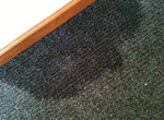 Wet carpet